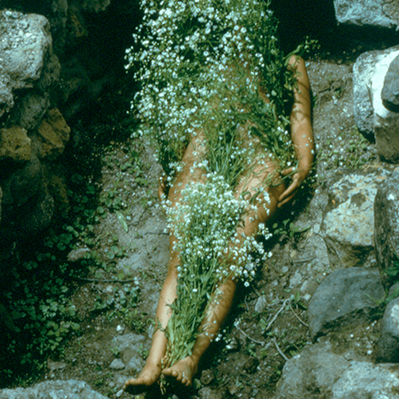 Ana Mendieta (1948-1985), Imágen de Yágul © The Estate of Ana Mendieta Collection, LLC
